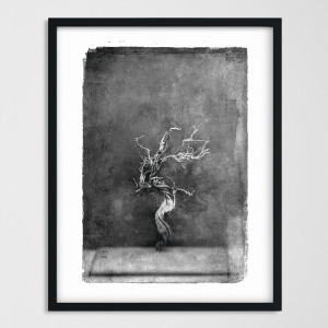 vintagraphica III - Poster
