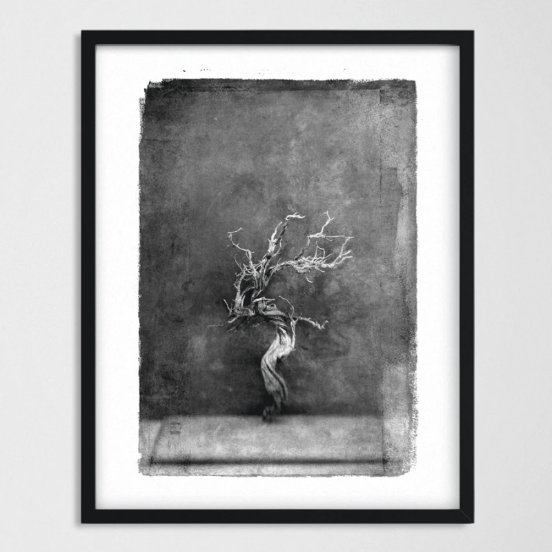 vintagraphica III - Poster