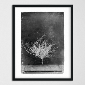 vintagraphica VI - Poster