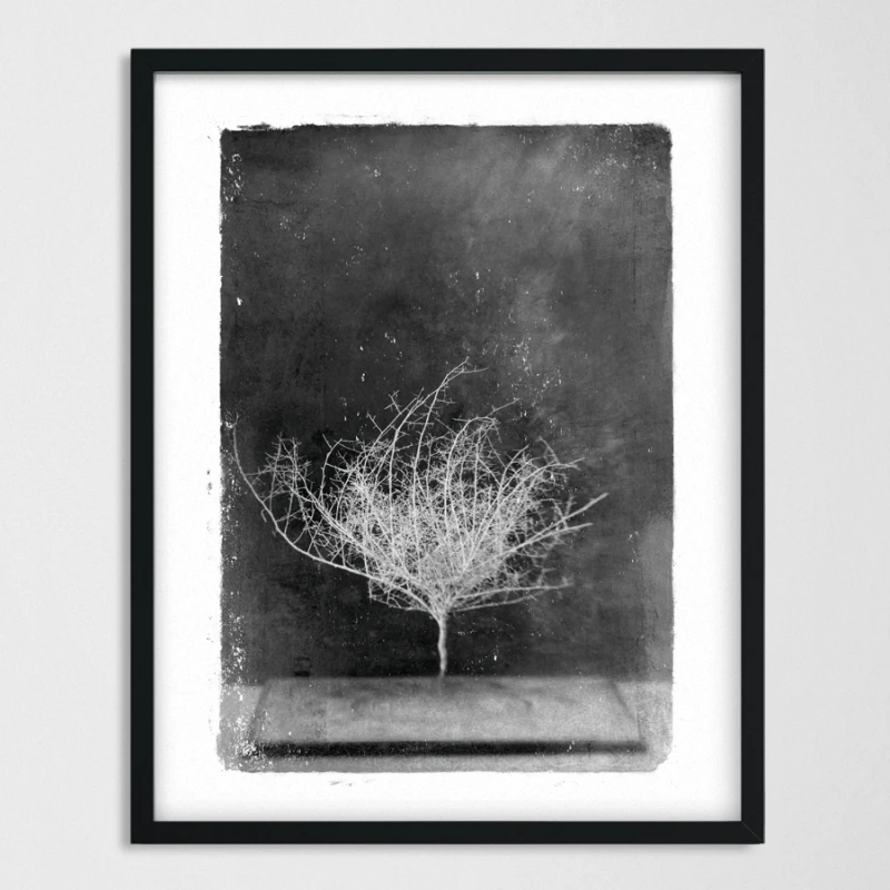 vintagraphica VI - Poster